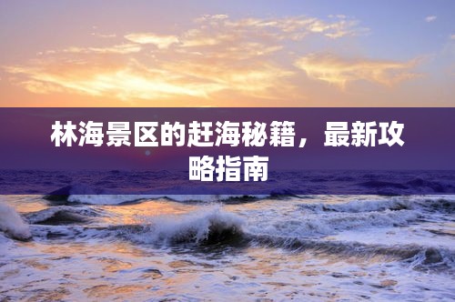 林海景區(qū)的趕海秘籍，最新攻略指南