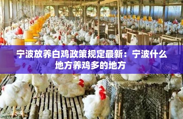 寧波放養(yǎng)白雞政策規(guī)定最新:寧波什么地方養(yǎng)雞多的地方