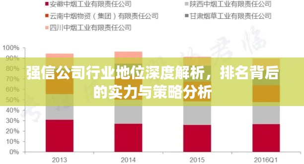 強信公司行業地位深度解析,排名背后的實力與策略分析