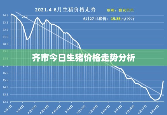 齊市今日生豬價格走勢分析
