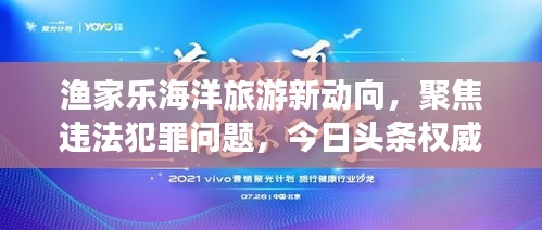 漁家樂海洋旅游新動向,聚焦違法犯罪問題,今日頭條權威發布