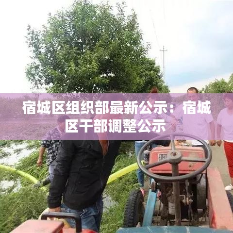 宿城區組織部最新公示:宿城區干部調整公示