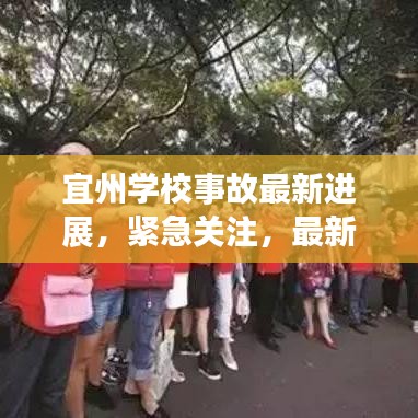 宜州學(xué)校事故最新進(jìn)展,緊急關(guān)注,最新消息披露!