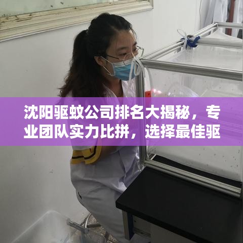 沈陽驅(qū)蚊公司排名大揭秘,專業(yè)團(tuán)隊實(shí)力比拼,選擇最佳驅(qū)蚊服務(wù)!