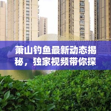 蕭山釣魚最新動態揭秘,獨家視頻帶你探索垂釣樂園新秘境!