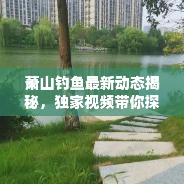 蕭山釣魚最新動態揭秘,獨家視頻帶你探索垂釣樂園新秘境!