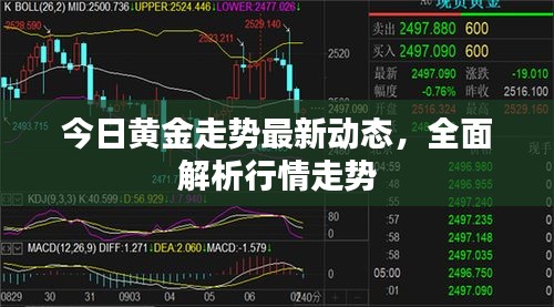 今日黃金走勢最新動態，全面解析行情走勢