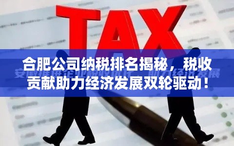 合肥公司納稅排名揭秘，稅收貢獻助力經濟發展雙輪驅動！