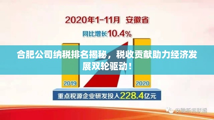 合肥公司納稅排名揭秘,稅收貢獻助力經濟發展雙輪驅動!