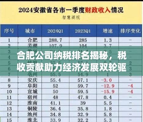 合肥公司納稅排名揭秘,稅收貢獻助力經濟發展雙輪驅動!