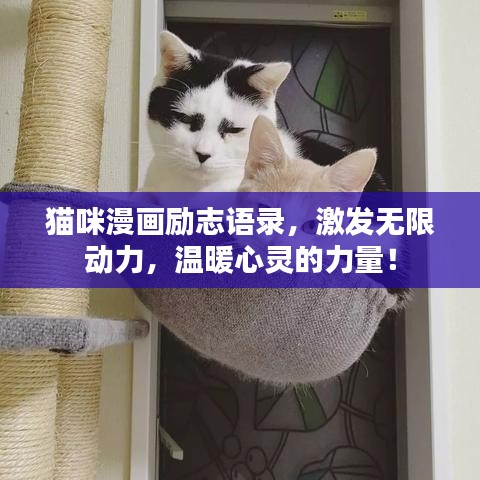 貓咪漫畫勵志語錄,激發無限動力,溫暖心靈的力量!