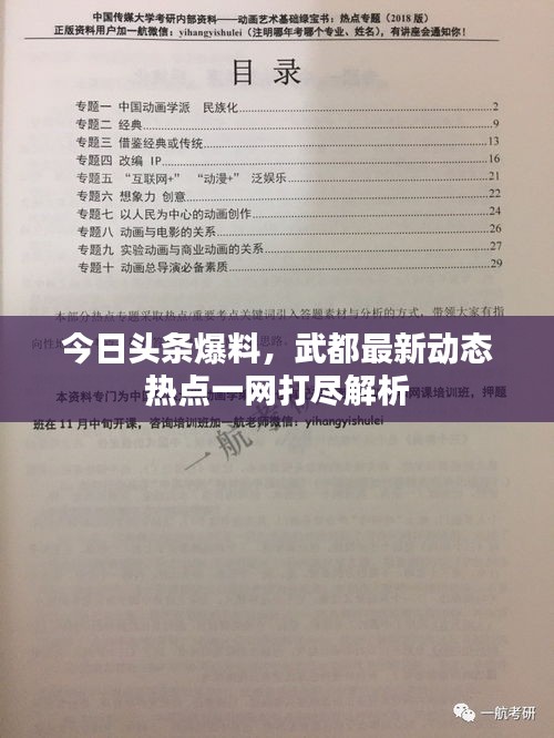 今日頭條爆料，武都最新動態(tài)熱點一網(wǎng)打盡解析