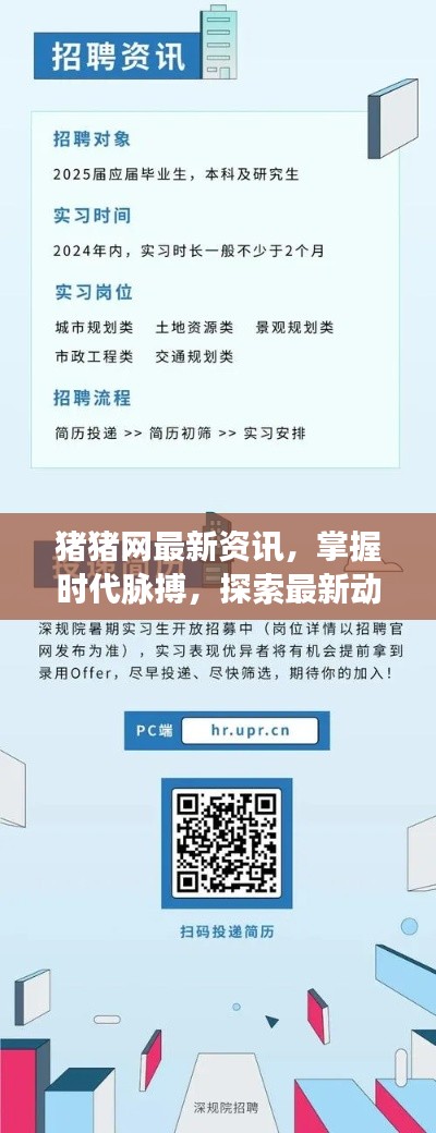 豬豬網最新資訊,掌握時代脈搏,探索最新動態