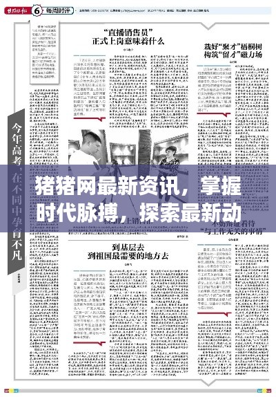 豬豬網最新資訊,掌握時代脈搏,探索最新動態