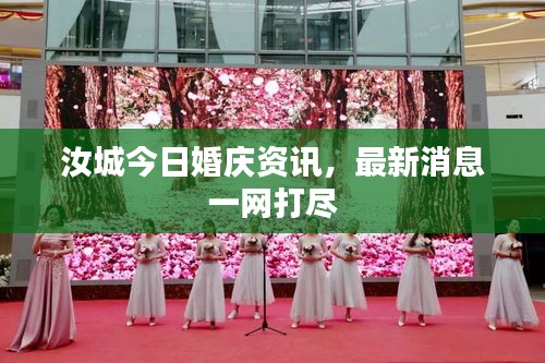 汝城今日婚慶資訊，最新消息一網打盡