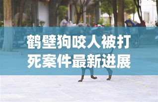 鶴壁狗咬人被打死案件最新進展:鶴壁郭莊狗咬女孩視頻