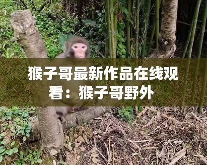 猴子哥最新作品在線觀看:猴子哥野外
