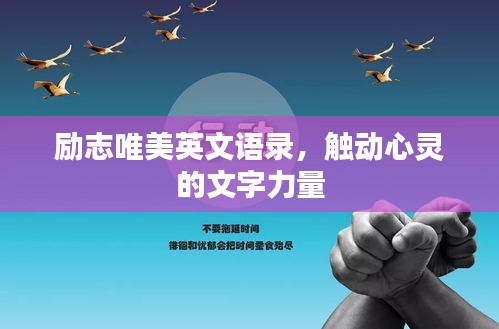 勵志唯美英文語錄,觸動心靈的文字力量