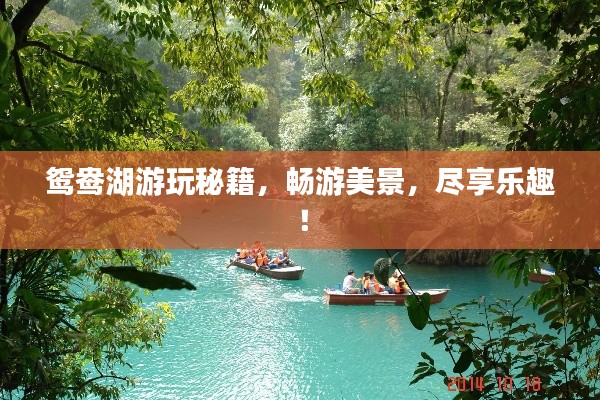 鴛鴦湖游玩秘籍,暢游美景,盡享樂趣!