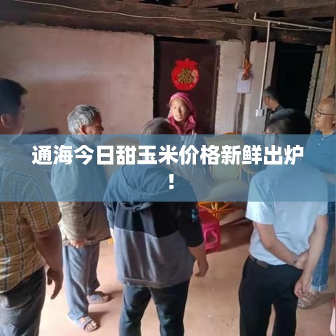 通海今日甜玉米價格新鮮出爐!