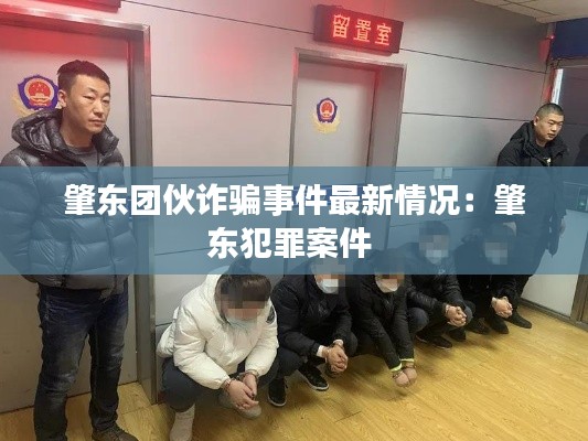 肇東團伙詐騙事件最新情況:肇東犯罪案件