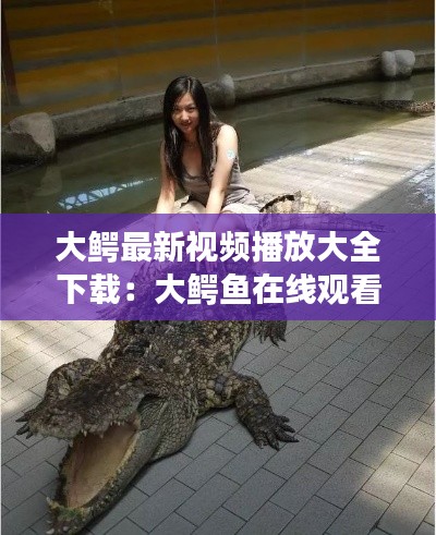 大鱷最新視頻播放大全下載:大鱷魚在線觀看網(wǎng)站播放