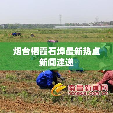 煙臺棲霞石埠最新熱點新聞速遞