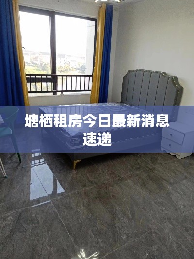 塘棲租房今日最新消息速遞
