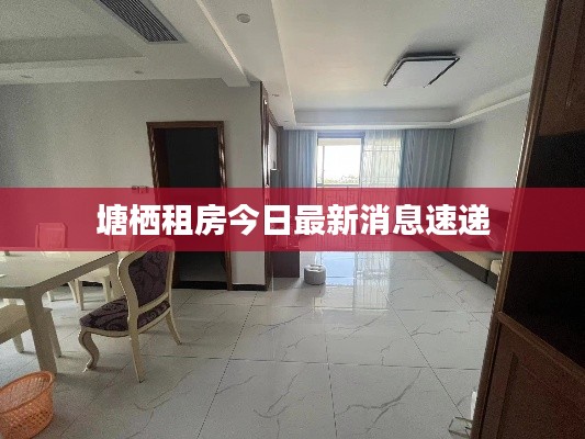 塘棲租房今日最新消息速遞