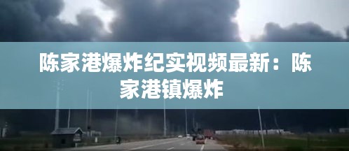 陳家港爆炸紀(jì)實(shí)視頻最新：陳家港鎮(zhèn)爆炸 