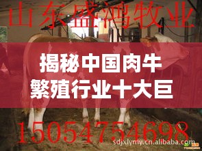 揭秘中國肉牛繁殖行業(yè)十大巨頭排名榜!