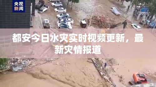 都安今日水災實時視頻更新,最新災情報道