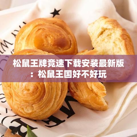 松鼠王牌競(jìng)速下載安裝最新版:松鼠王國(guó)好不好玩