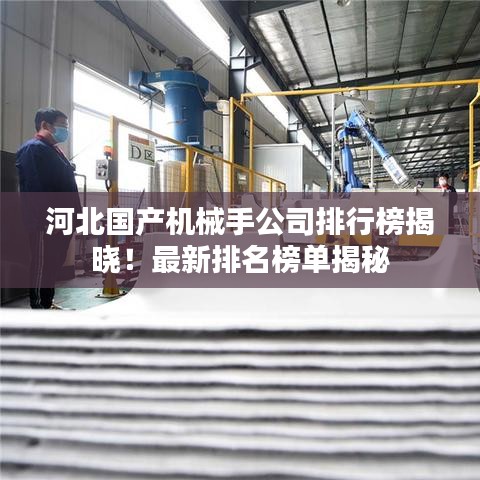河北國產機械手公司排行榜揭曉！最新排名榜單揭秘
