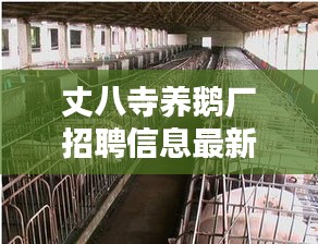 丈八寺養鵝廠招聘信息最新:丈八廟是什么廟