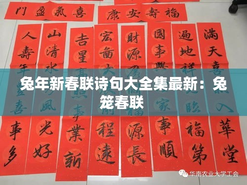 兔年新春聯詩句大全集最新:兔籠春聯