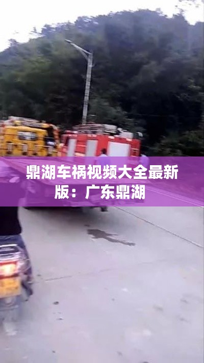 鼎湖車禍視頻大全最新版:廣東鼎湖