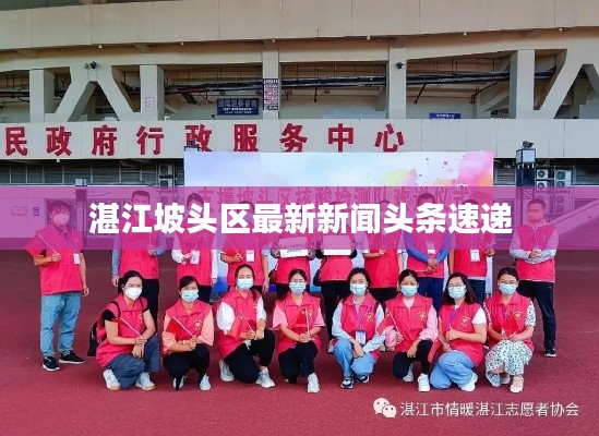 湛江坡頭區(qū)最新新聞?lì)^條速遞