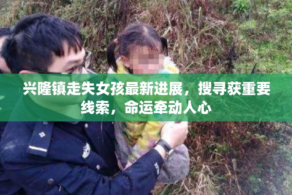 興隆鎮(zhèn)走失女孩最新進展，搜尋獲重要線索，命運牽動人心