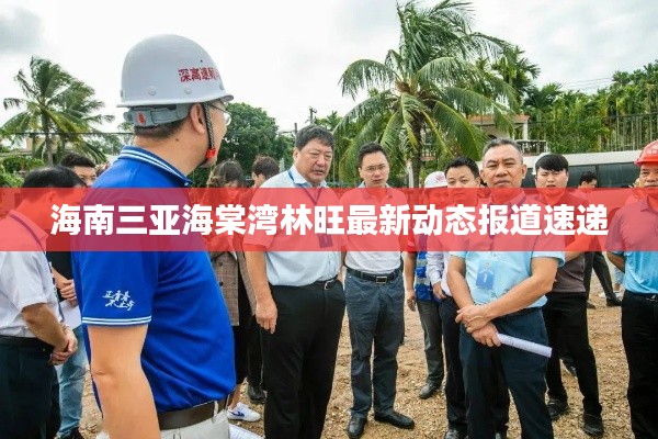 海南三亞海棠灣林旺最新動(dòng)態(tài)報(bào)道速遞