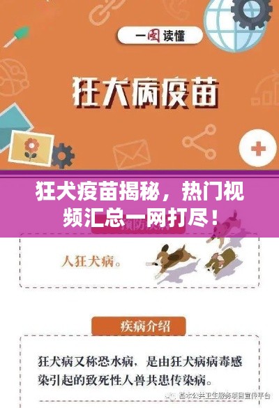 狂犬疫苗揭秘,熱門視頻匯總一網打盡!