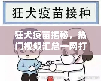狂犬疫苗揭秘,熱門(mén)視頻匯總一網(wǎng)打盡!