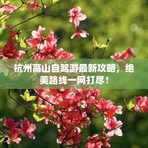 杭州高山自駕游最新攻略,絕美路線一網(wǎng)打盡!