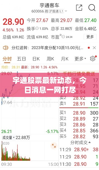 宇通股票最新動態,今日消息一網打盡