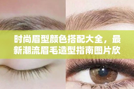 時(shí)尚眉型顏色搭配大全,最新潮流眉毛造型指南圖片欣賞