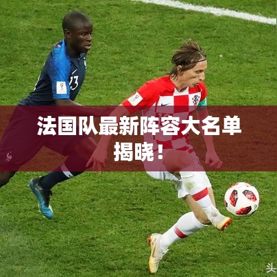 法國隊最新陣容大名單揭曉!