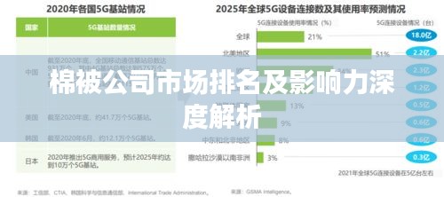 棉被公司市場排名及影響力深度解析