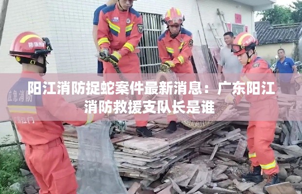 陽江消防捉蛇案件最新消息:廣東陽江消防救援支隊長是誰