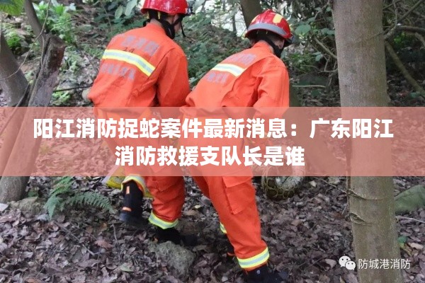 陽江消防捉蛇案件最新消息:廣東陽江消防救援支隊長是誰
