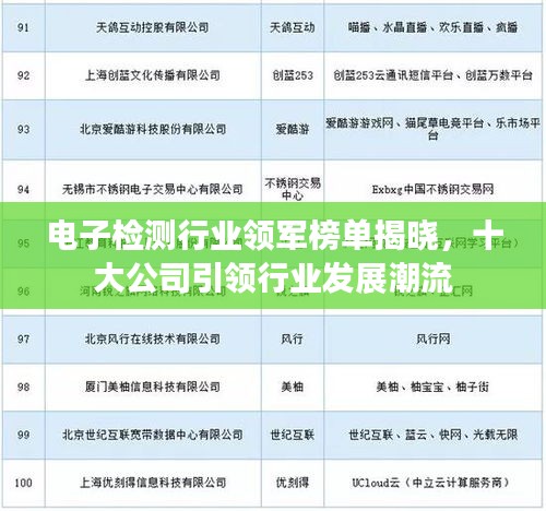 電子檢測行業領軍榜單揭曉,十大公司引領行業發展潮流